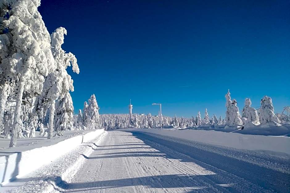 APARTMÁNY 91 Boží Dar