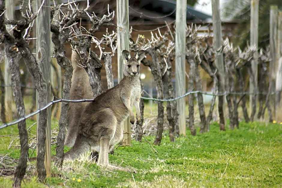 The Carriages Boutique Hotel and Vineyard
