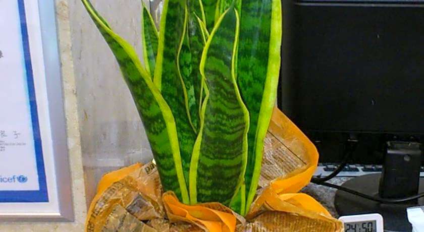 Hotel Select Inn Nagoya Iwakura Ekimae