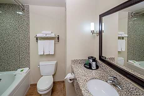 1 King Std Communication Mobility Access Tub