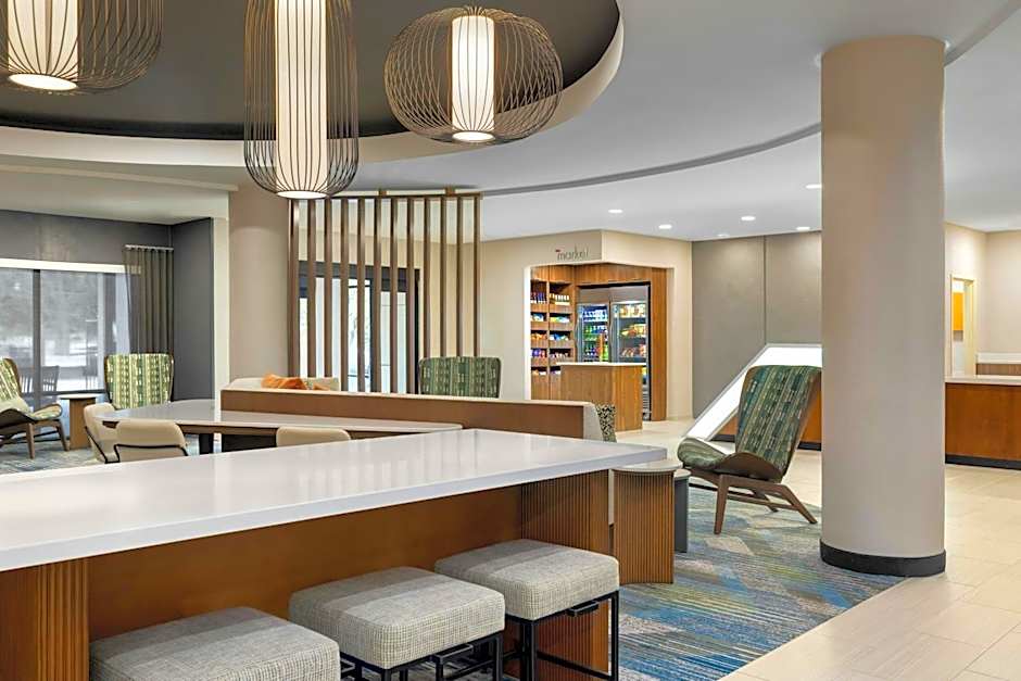 SpringHill Suites by Marriott Tampa Brandon