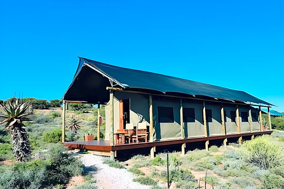 Buffelsdrift Game Lodge and Hotel