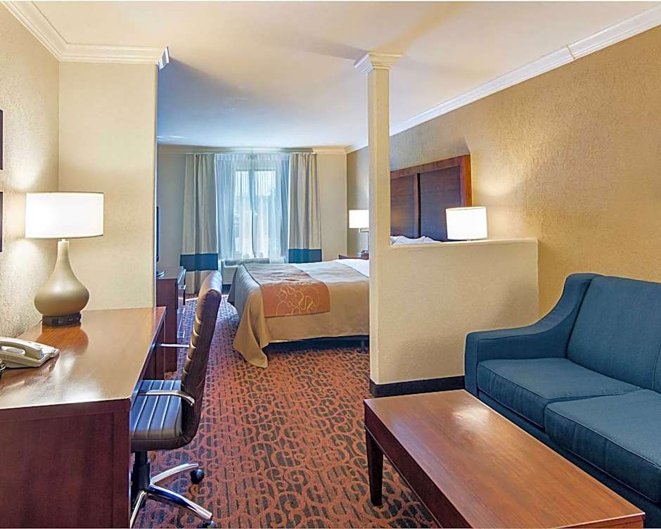 Comfort Inn & Suites I10 - Mason Road