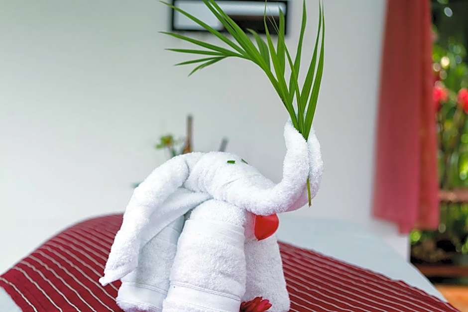 Hotel Mountain Paradise