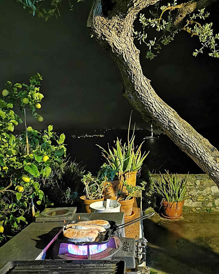 Affittacamere La Palafitta