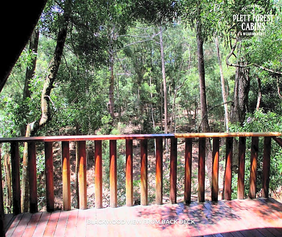 Plett Forest Cabins