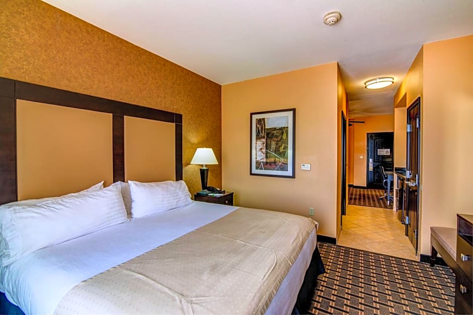 Holiday Inn Arlington Northeast By IHG