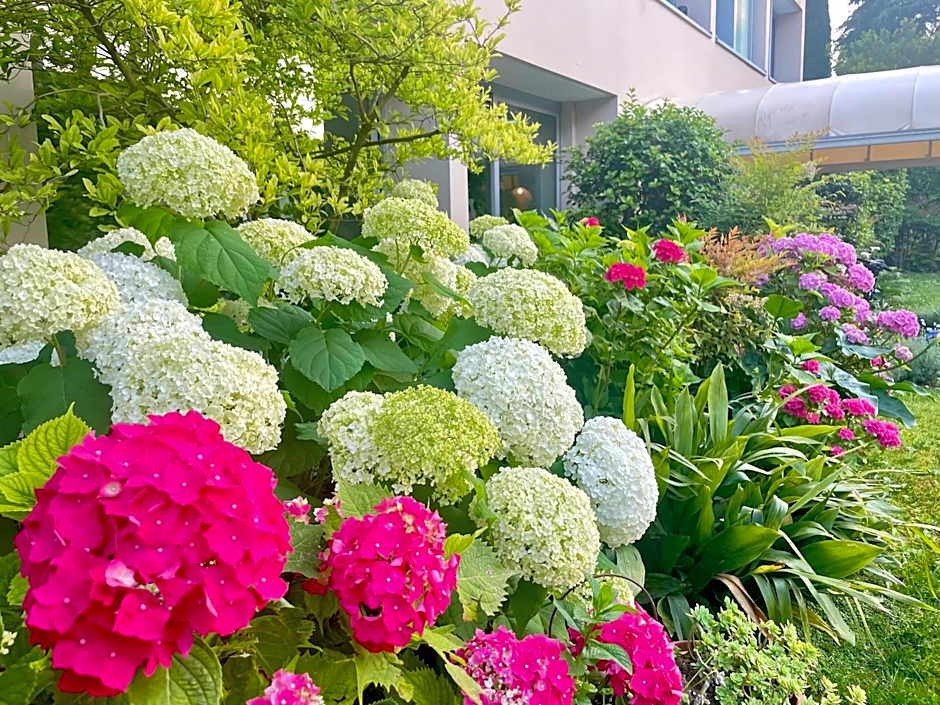 Hotel Alfieri by International