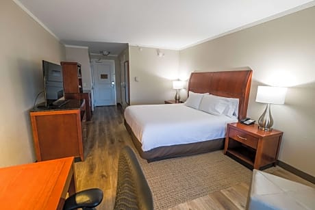 1 King Bed