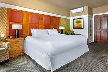 Studio 1 King Les Terrasses