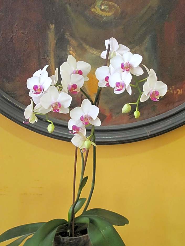 Hotel Ciudad De Calahorra