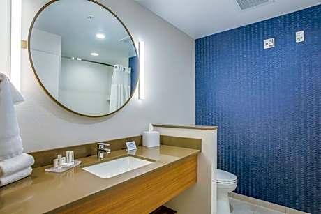 King Suite with Transfer Shower and Sofa Bed - Mobility Access/Hearing Accessible