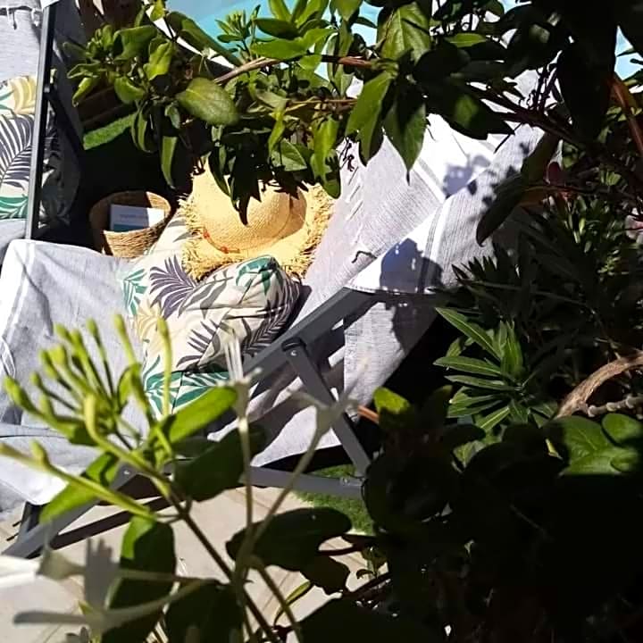Le Petit Patio – Aigues Mortes, GA