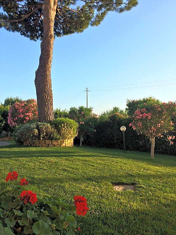 Agriturismo - B&B L'Acquacotta