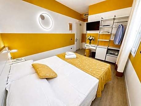 Basic Double or Twin Room