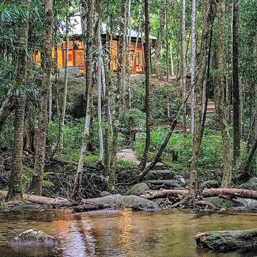 Daintree Cascades