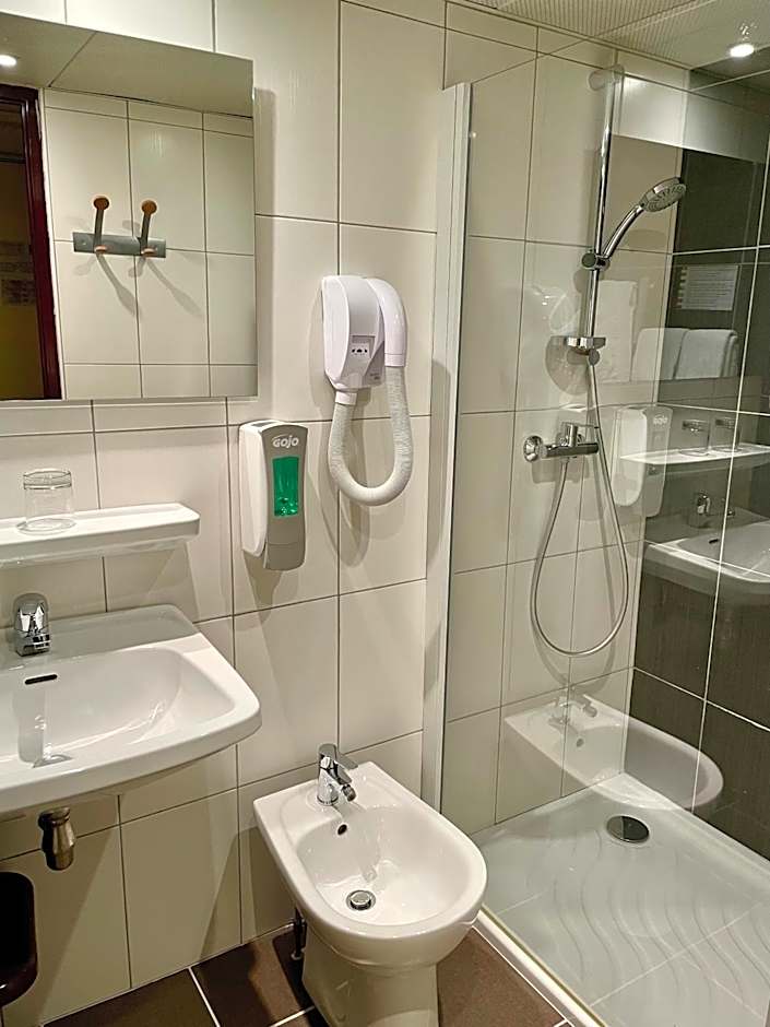Hotel Saint Georges Lourdes
