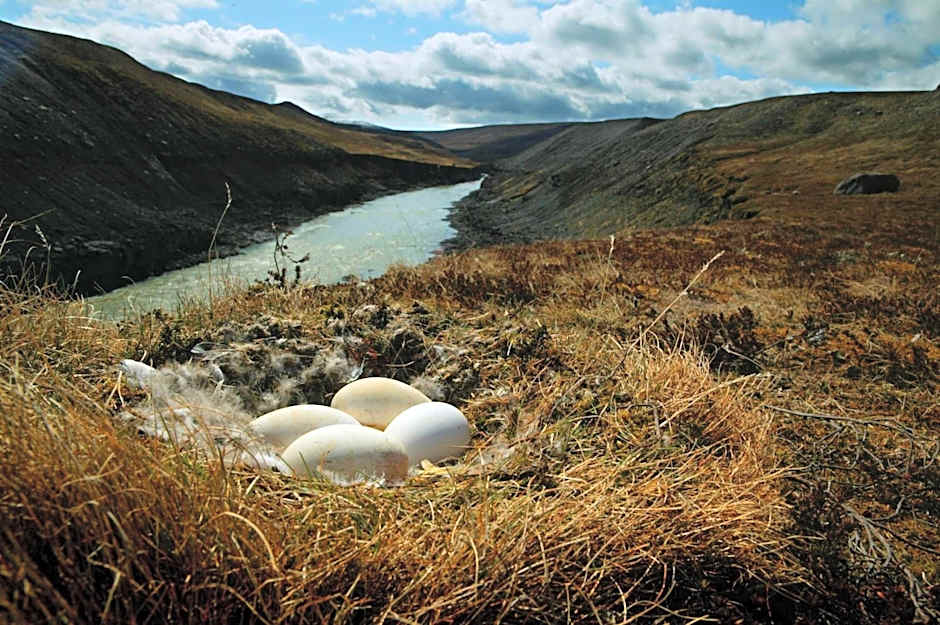 Wilderness Center / Óbyggðasetur Íslands