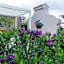 200 ROOMS & TERRACE