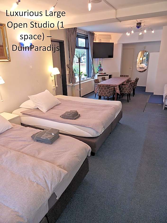 DuinVliet - Zandvoort Dunes & Free Parking