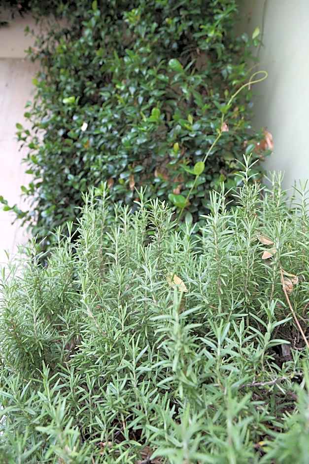 Hotel Mantegna Stazione, MantegnaHotels