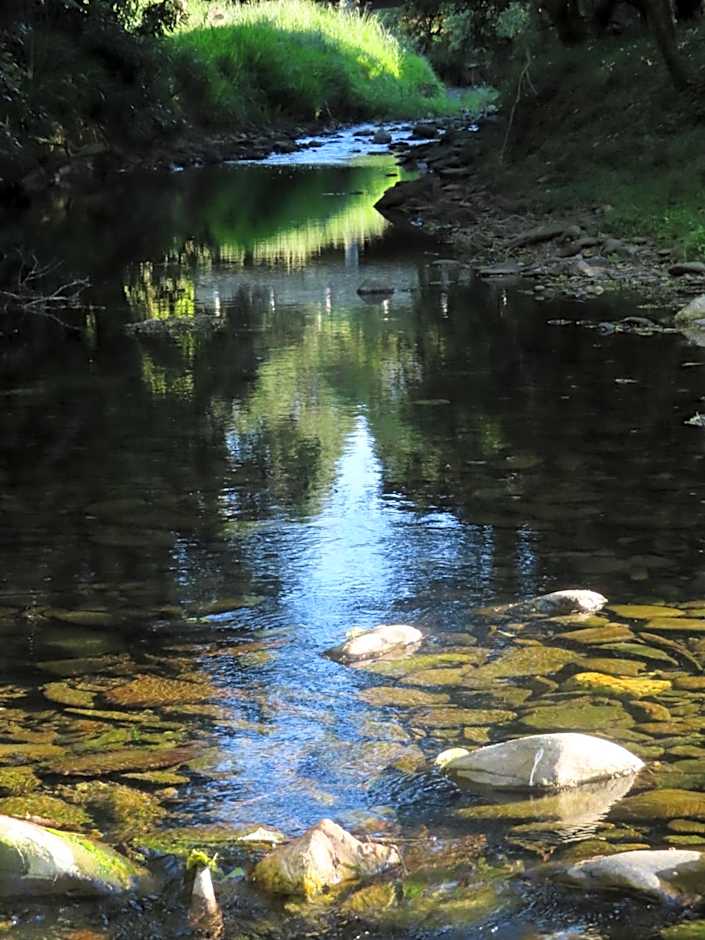 River Song Retreat Golden Bay