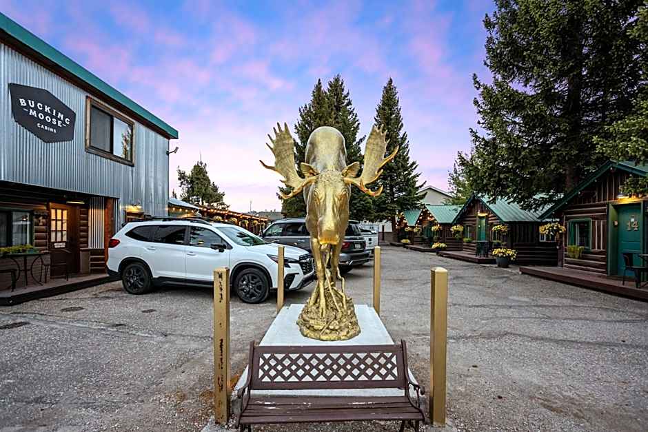 The Bucking Moose