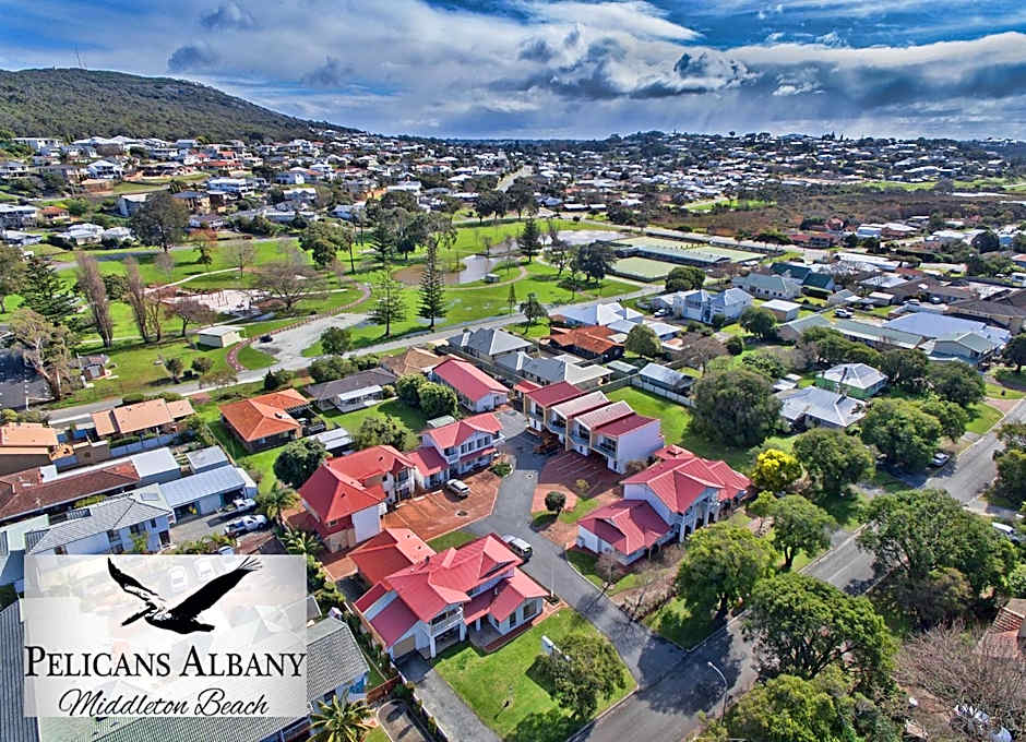 Pelicans Albany Middleton Beach