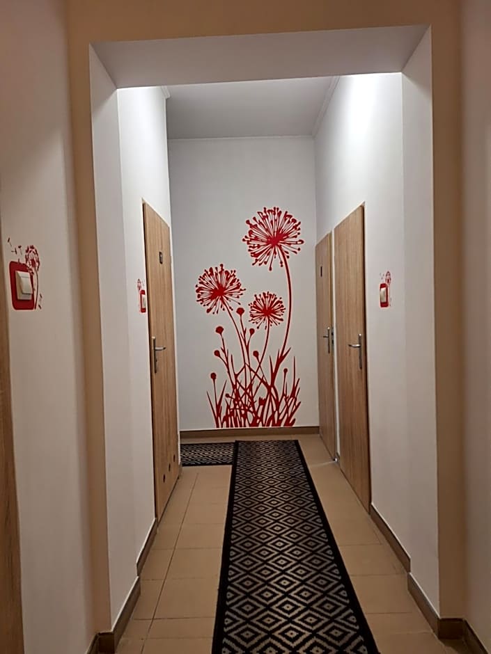 Za zieloną bramą