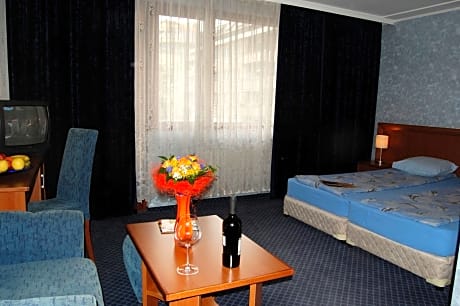 Business Double Room Lux