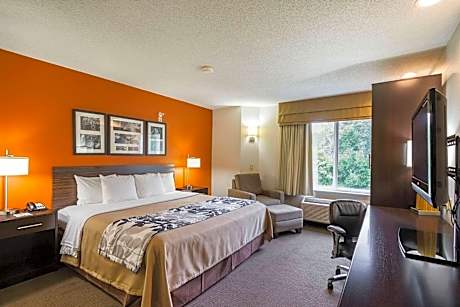 King Room - Non-Smoking