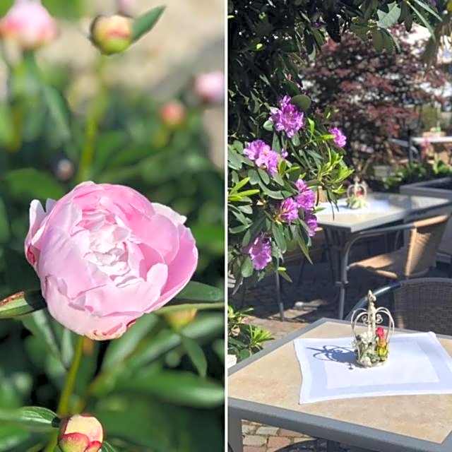 Hotel Gasthaus Appel Krug
