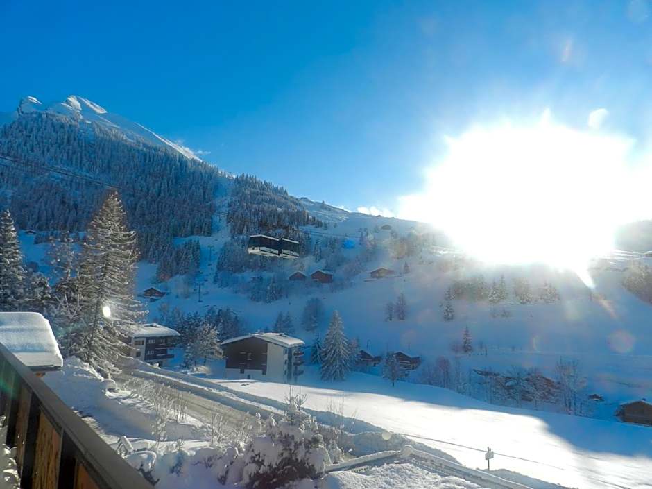 Chalet-Hôtel du Borderan