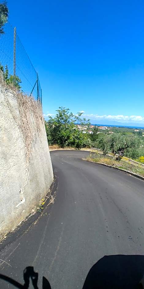 La Piana degli Ulivi
