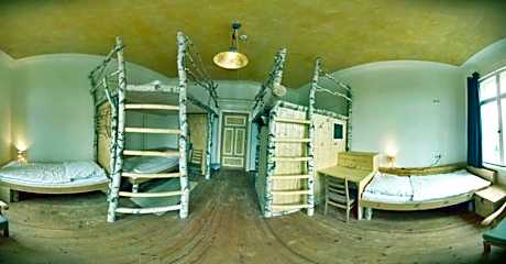 Bed in 5-Bed Dormitory Room