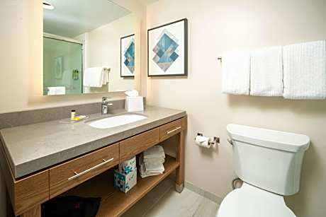 1 Queen Bed Studio Suite