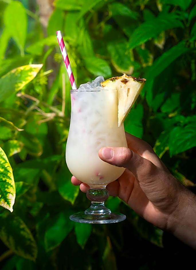 Marinell Collection Palm-Mar