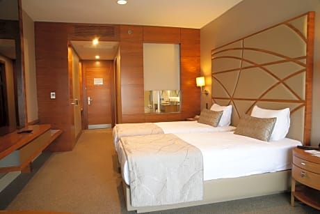 Superior Twin Room with Partial Sea View