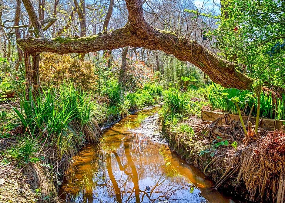Notter Bridge Holiday Park