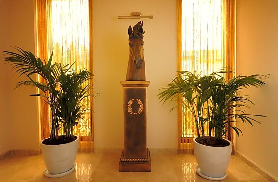 Blueberry Boutique Hotel