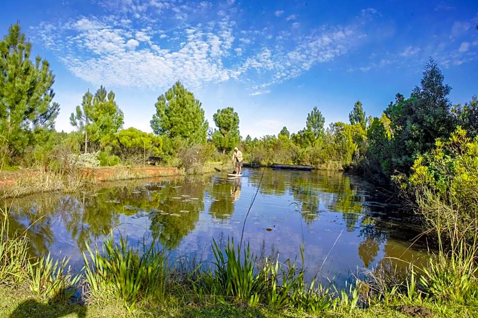 Rainforest Ridge Eco Resort