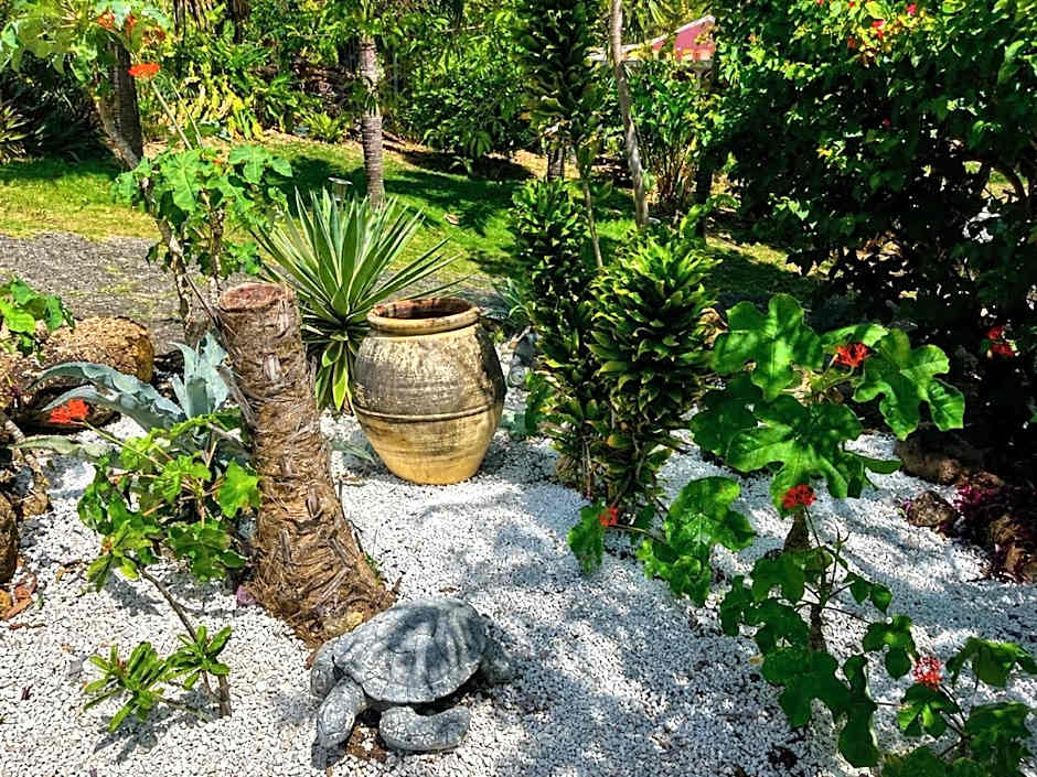 Gite et bungalow La Tortue Bleue Piscine & Malendure