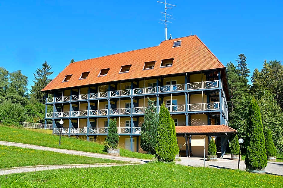 Schwarzwald Parkhotel