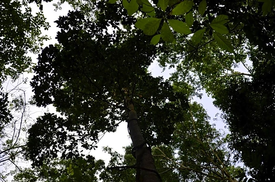 Tangkoko Sanctuary Villa