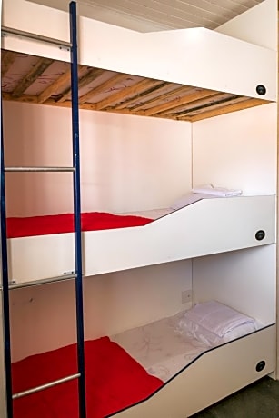 Bed in 6-Bed Dormitory Room