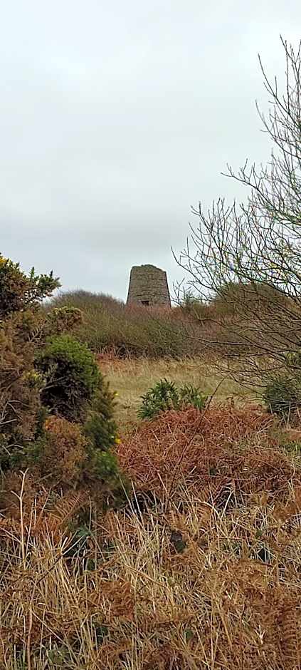 Mawson Retreat Dog Friendly Static Caravan