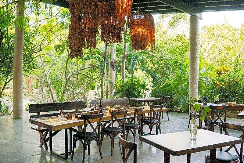 Pepem Eco Hotel Tulum at the Jungle