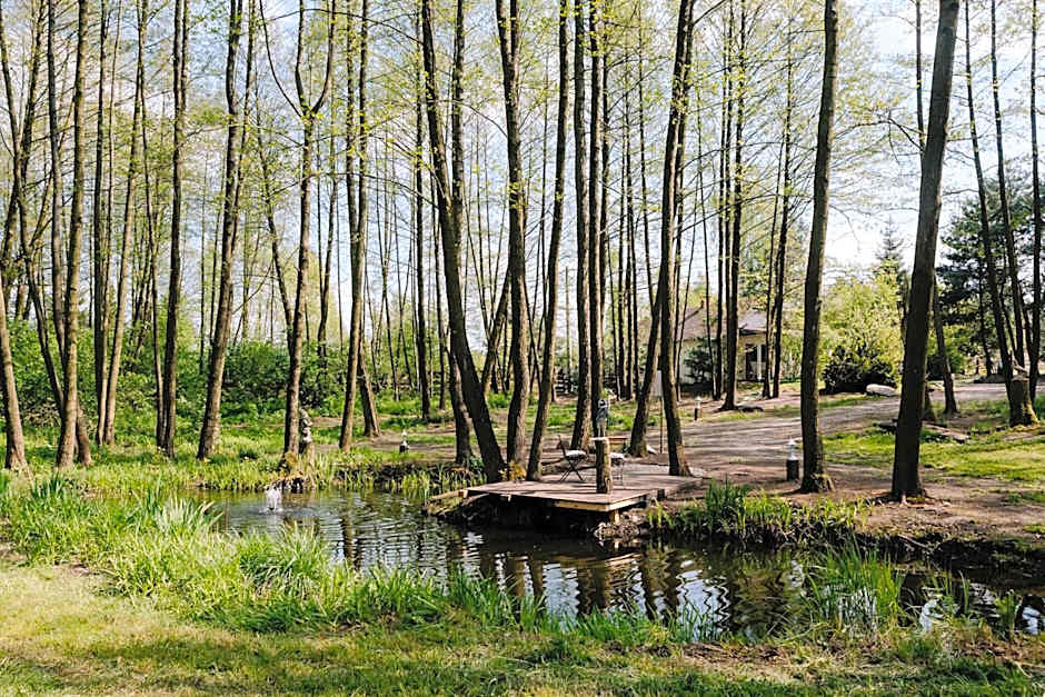 Dwór Złotopolska Dolina Mansion House