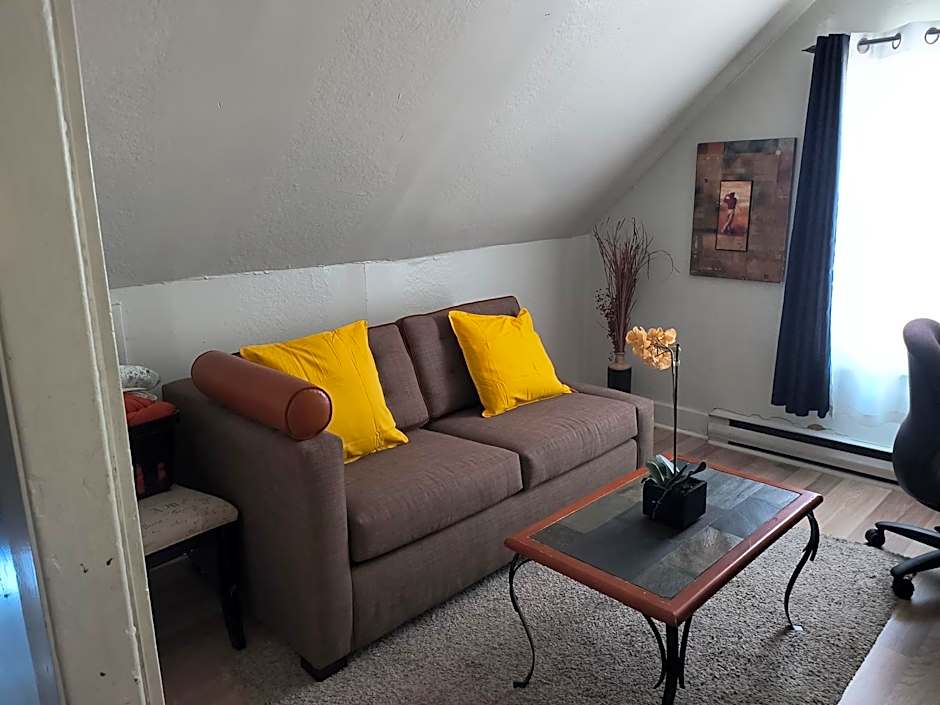 Cozy downtown one bedroom free parking