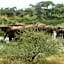 Morokolo Safari Lodge Self-catering